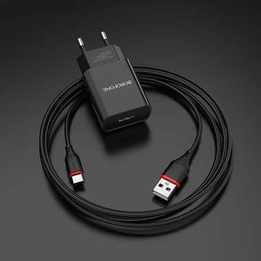 Сетевое зарядное устройство Borofone BA20A Sharp USB с кабелем Type-C (черное) &mdash; 3